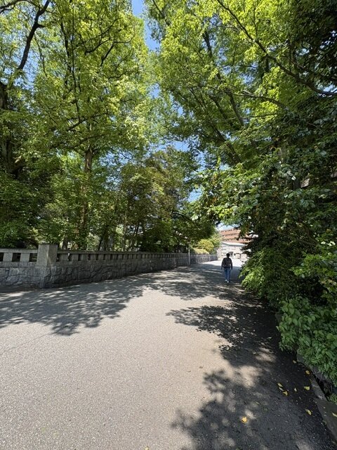 IMG_1216 (004)_260504.jpg