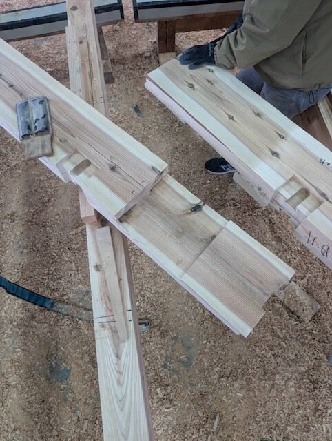 IMG_6310 (002)_260126.jpg