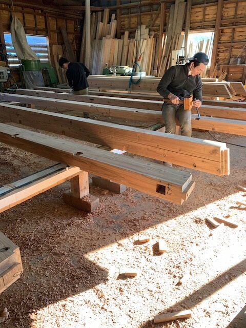 IMG_9674 (002)_251102.jpg