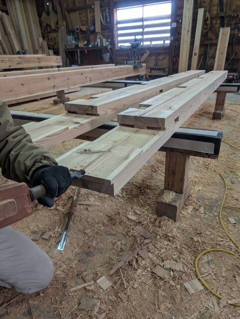 IMG_6288 (003)_260126.jpg