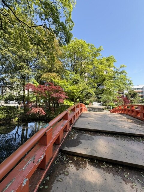 IMG_1203 (004)_260504.jpg